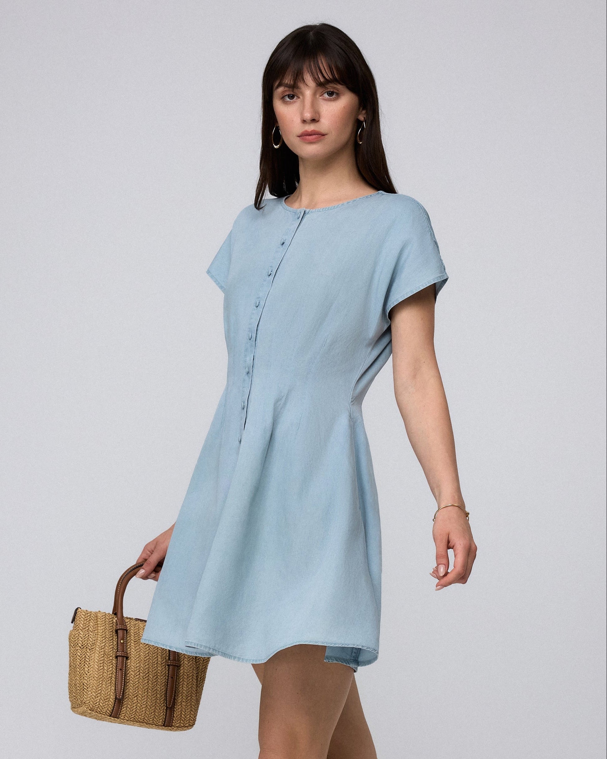 Isolde Pleat-Front Shirt Dress